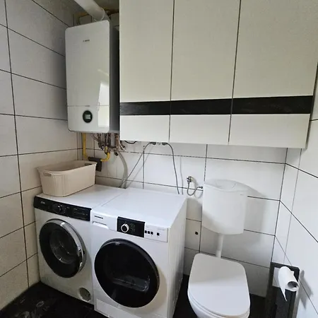 Designer In Nature *