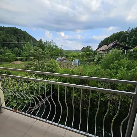 Designer In Nature *