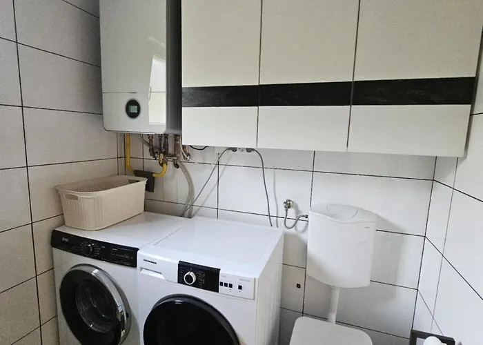 Designer In Nature *